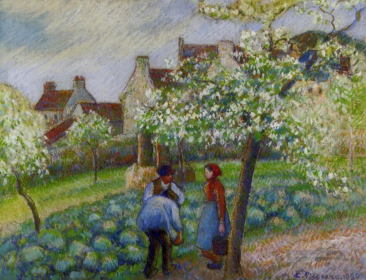 blühenden Pflaumenbäume Camille Pissarro Ölgemälde